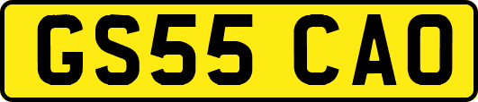 GS55CAO