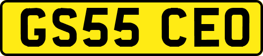 GS55CEO
