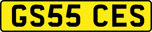 GS55CES