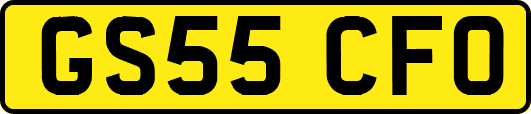 GS55CFO