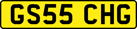 GS55CHG