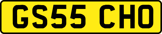 GS55CHO