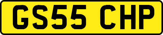 GS55CHP