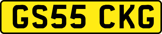 GS55CKG