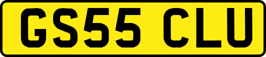 GS55CLU