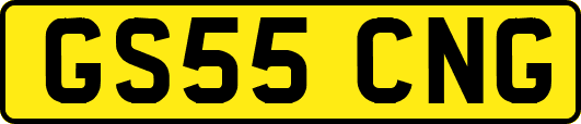 GS55CNG