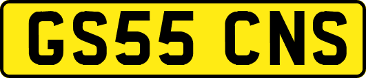 GS55CNS