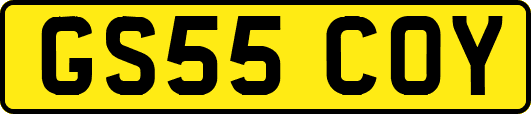 GS55COY