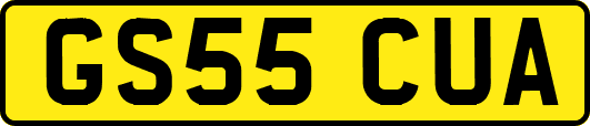GS55CUA