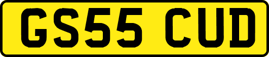 GS55CUD