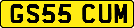 GS55CUM