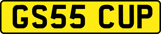 GS55CUP