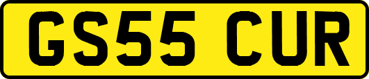 GS55CUR