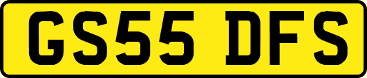 GS55DFS