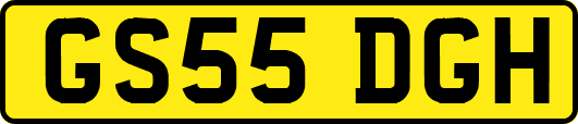 GS55DGH
