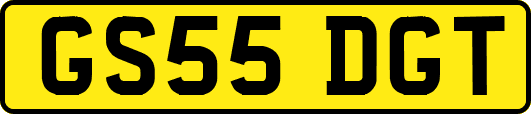 GS55DGT