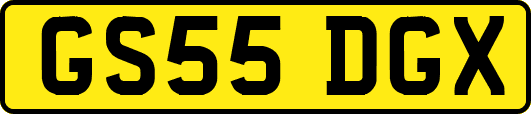 GS55DGX