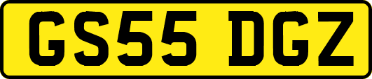 GS55DGZ