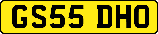 GS55DHO