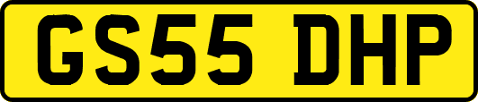 GS55DHP