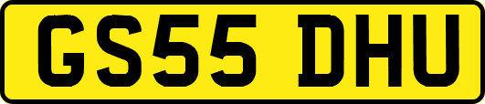 GS55DHU
