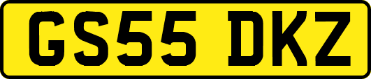 GS55DKZ