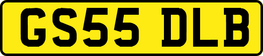 GS55DLB