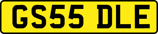 GS55DLE