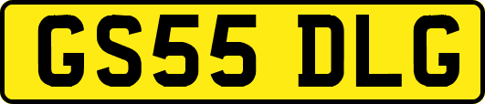 GS55DLG