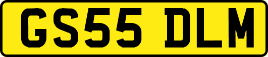 GS55DLM