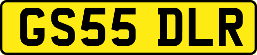 GS55DLR
