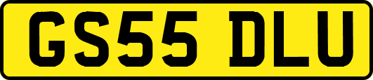 GS55DLU