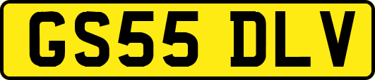 GS55DLV