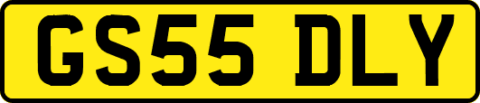 GS55DLY