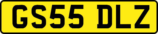 GS55DLZ