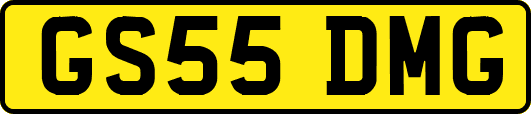 GS55DMG