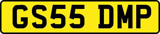 GS55DMP
