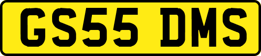 GS55DMS
