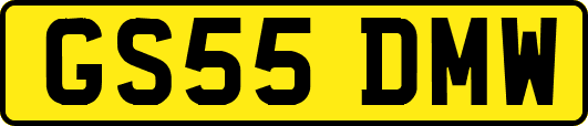 GS55DMW