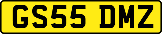 GS55DMZ