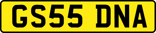 GS55DNA