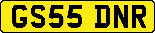 GS55DNR