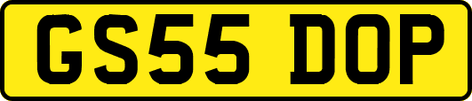 GS55DOP