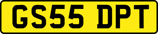GS55DPT