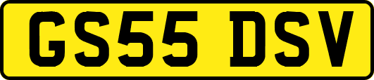 GS55DSV