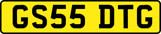 GS55DTG