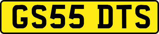 GS55DTS