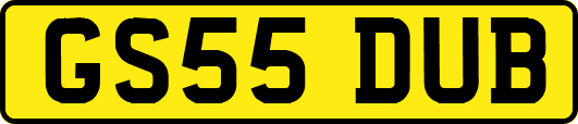 GS55DUB