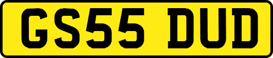 GS55DUD