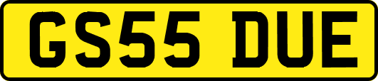 GS55DUE
